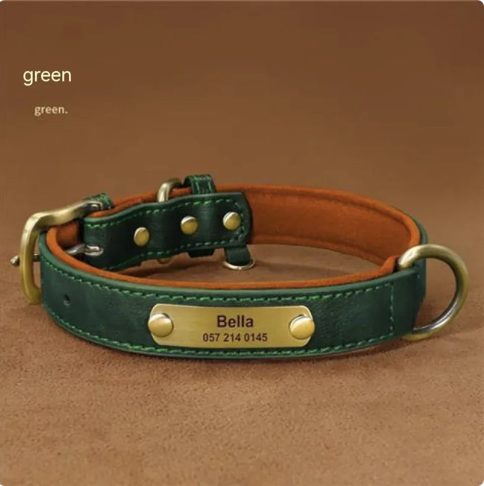 Personalized Engraved Dog Collar – Anti-Loss Design