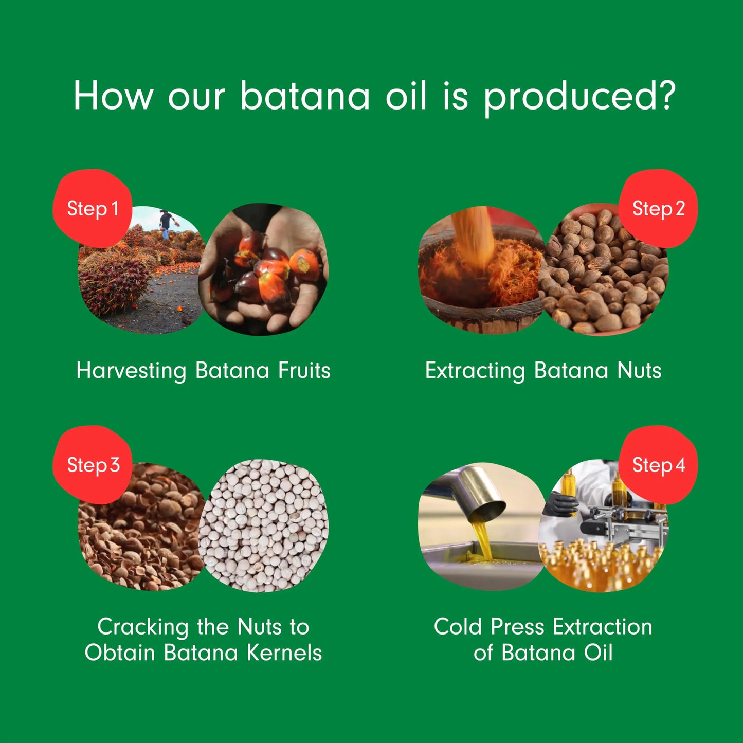 Batana Oil: Dr. Sebi Organic Raw Honduras Oil for Hair Growth - 100% Pure & Natural for Thicker, Stronger Hair - 4 FL OZ