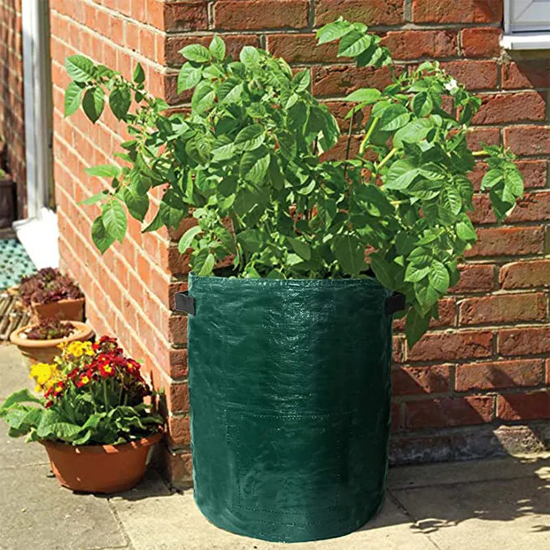 PE Potato Grow Bags