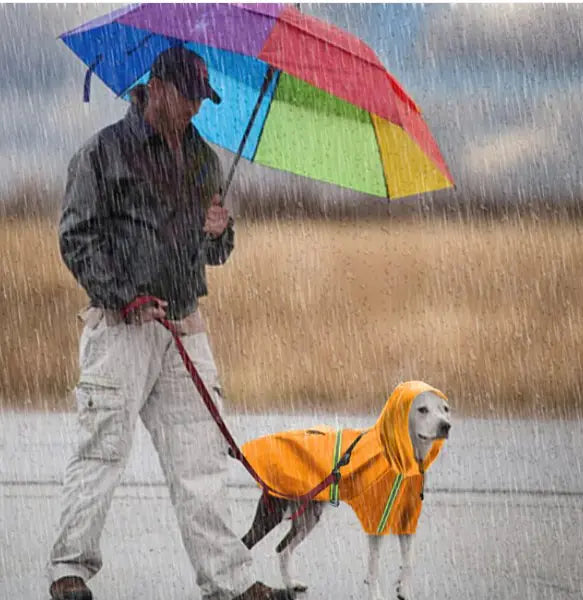 Pets Rain Coat