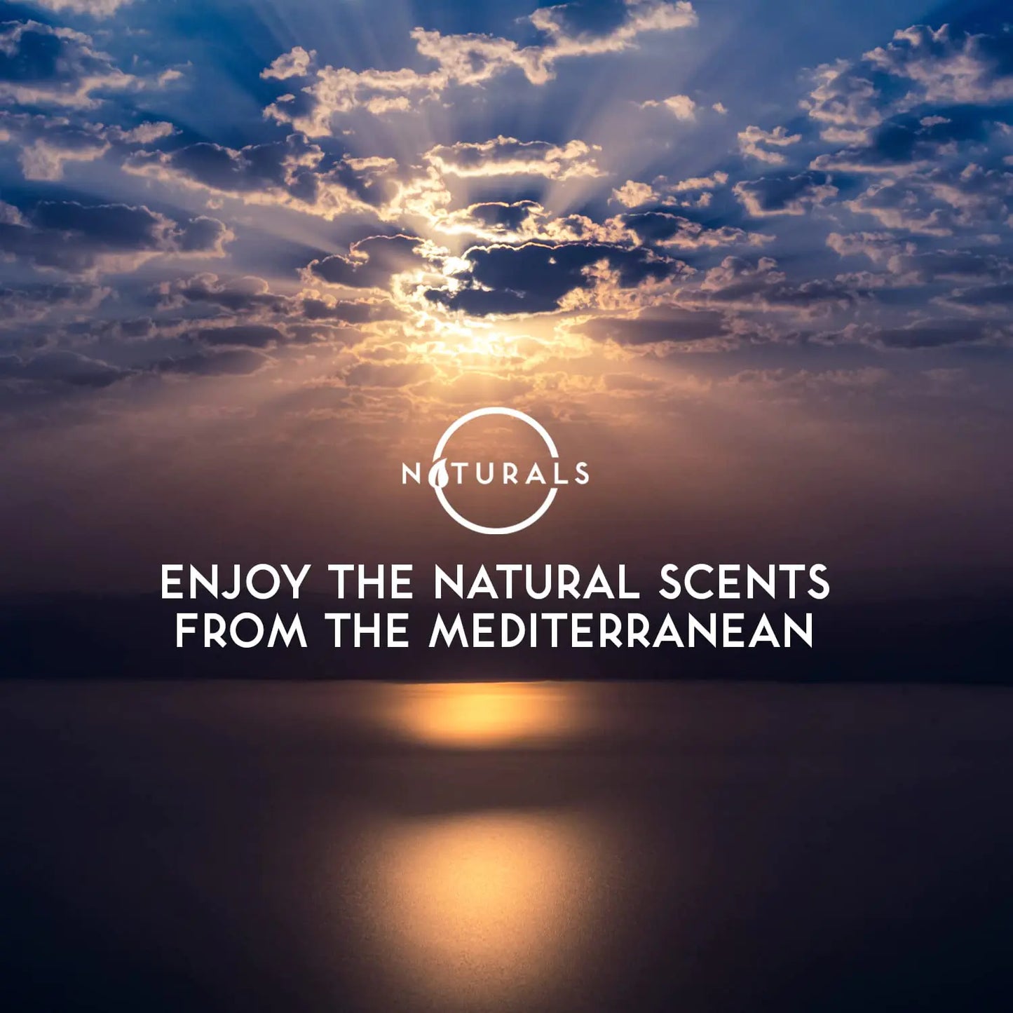 O NATURALS 2pcs Bundle Cleansing Soap Bar - Revitalizing Citrus Bar Soap, Natural Soap for Men and Women, Moisturizing Soap Bar Soap - Citrus Organic Soap with Essential Oils Natural Face Bar Soap