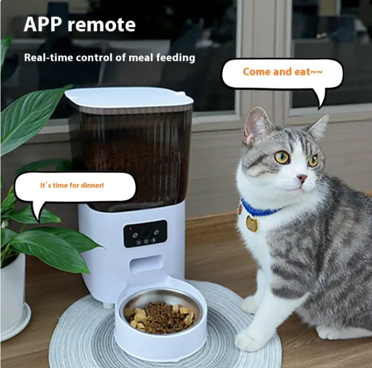 Auto Meal 5L Pet Feeder