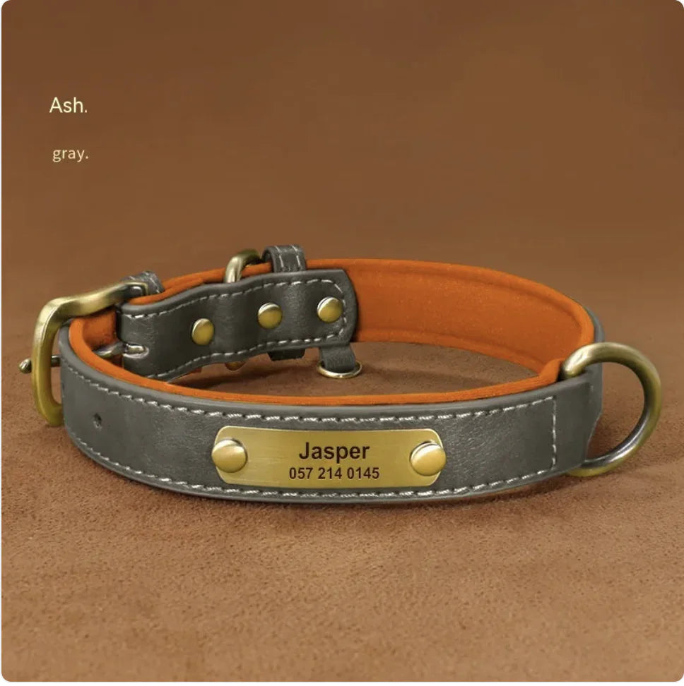 Personalized Engraved Dog Collar – Anti-Loss Design